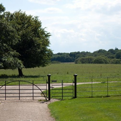 wrought iron fence and gate